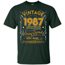 Vintage Born in 1987 30th Birthday 30 Years Old Awesome Gift