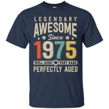 Awesome since 1975 43rd Birthday T Shirt 43 Years Old