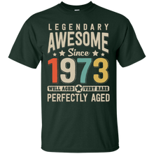 Awesome since 1973 45th Birthday T Shirt 45 Years Old